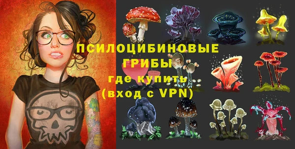 герыч Алзамай