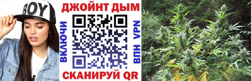 Каннабис OG Kush  закладка  Сельцо 